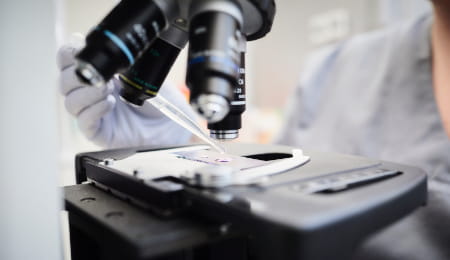 IVF cost– My Clinic Riga